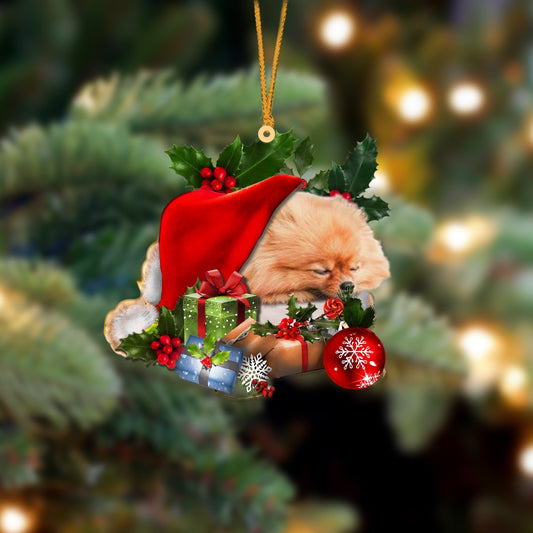 Pomeranian-Sleeping In Hat Two Sides Ornament Dog Sleeping Ornament