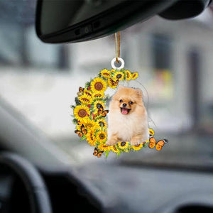 Pomeranian-Be Kind-Two Sided Ornament