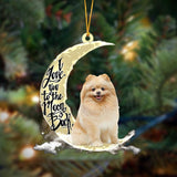 Godmerch- Pomeranian I Love You To The Moon And Back Hanging Ornament Dog Ornament, Car Ornament, Christmas Ornament