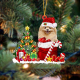 Godmerch- Ornament- Pomeranian Gift Bag Merry Christmas Ornament Dog Ornament, Car Ornament, Christmas Ornament