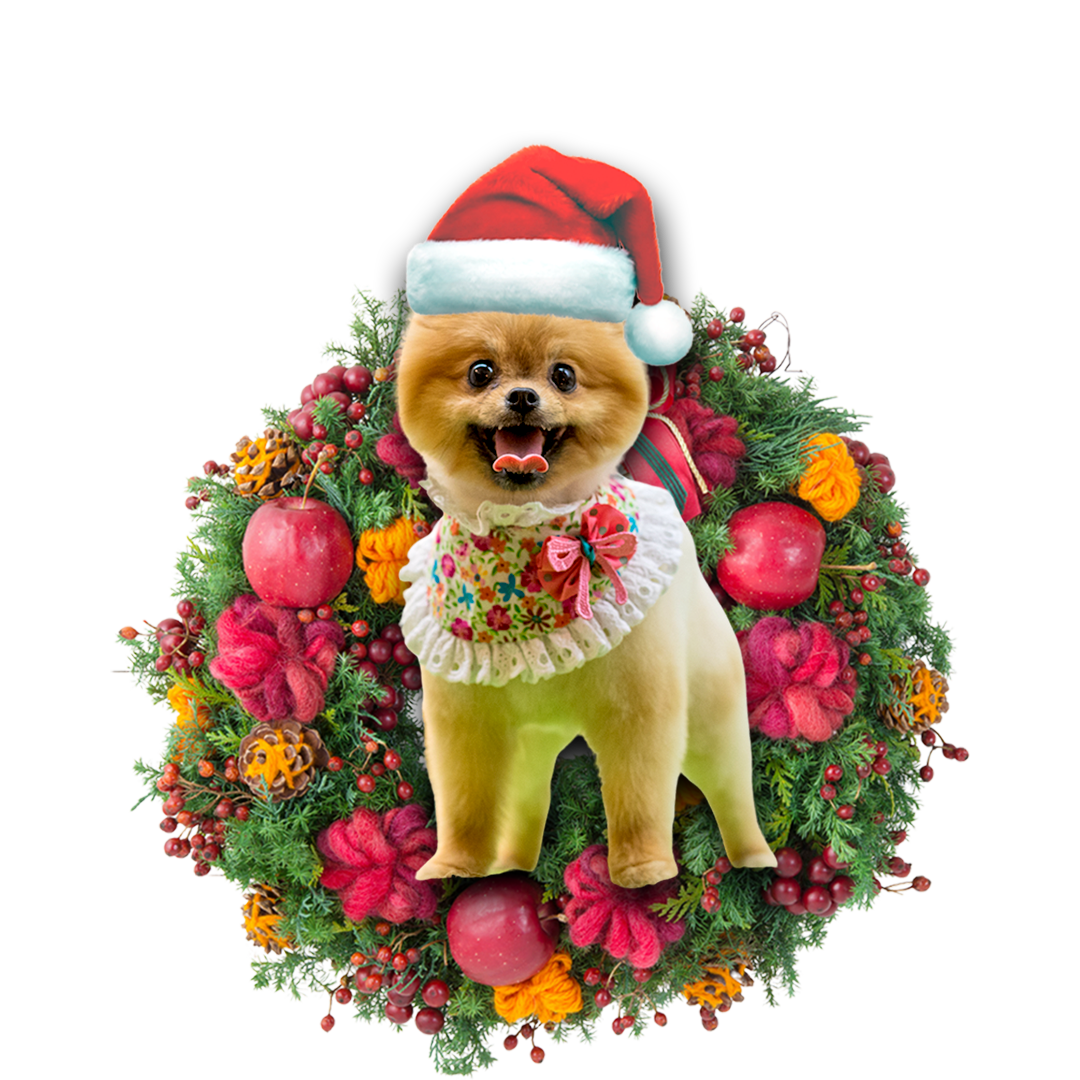 Godmerch- Ornament- Pomeranian Christmas Ornament, Happy Christmas Ornament, Car Ornament