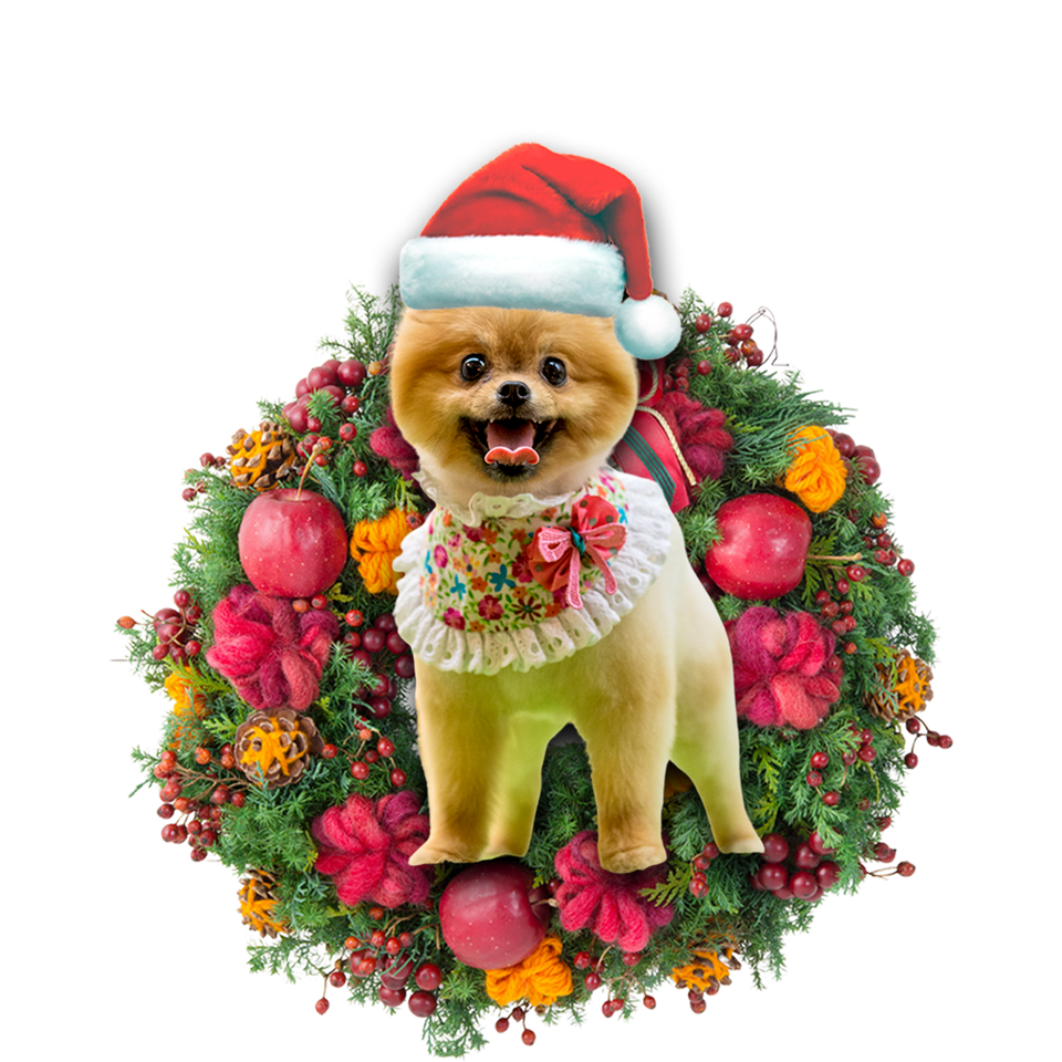 Godmerch- Ornament- Pomeranian Christmas Ornament, Happy Christmas Ornament, Car Ornament