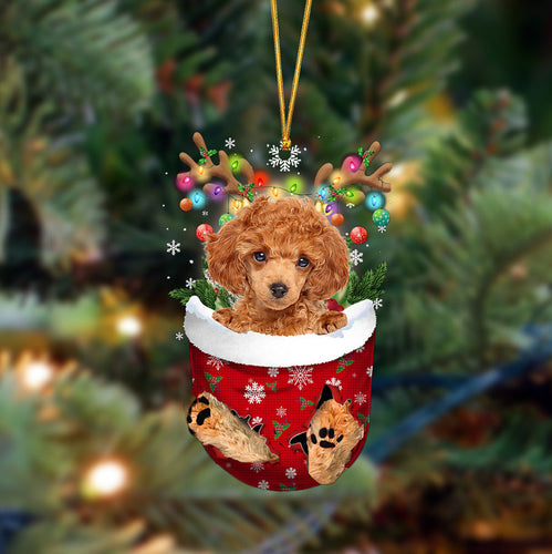 Poodle-In Christmas Pocket Two Sides Ornament, Christmas Dog Hanging Ornament