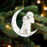 Poodle Sit On The Moon Two Sided Ornaments Dog Hanging Christmas Ornament