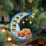 Ornament- Poodle1-Sleep On The Moon Christmas Two Sided Ornament, Happy Christmas Ornament, Car Ornament