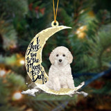 Godmerch- Poodle I Love You To The Moon And Back Hanging Ornament Dog Ornament, Car Ornament, Christmas Ornament