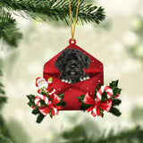 Portuguese Water Christmas Letter Ornament Dog Christmas Decoration