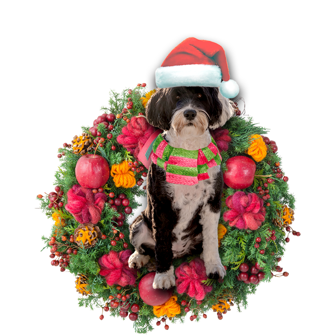 Godmerch- Ornament- Portuguese Water Dog Christmas Ornament, Happy Christmas Ornament, Car Ornament