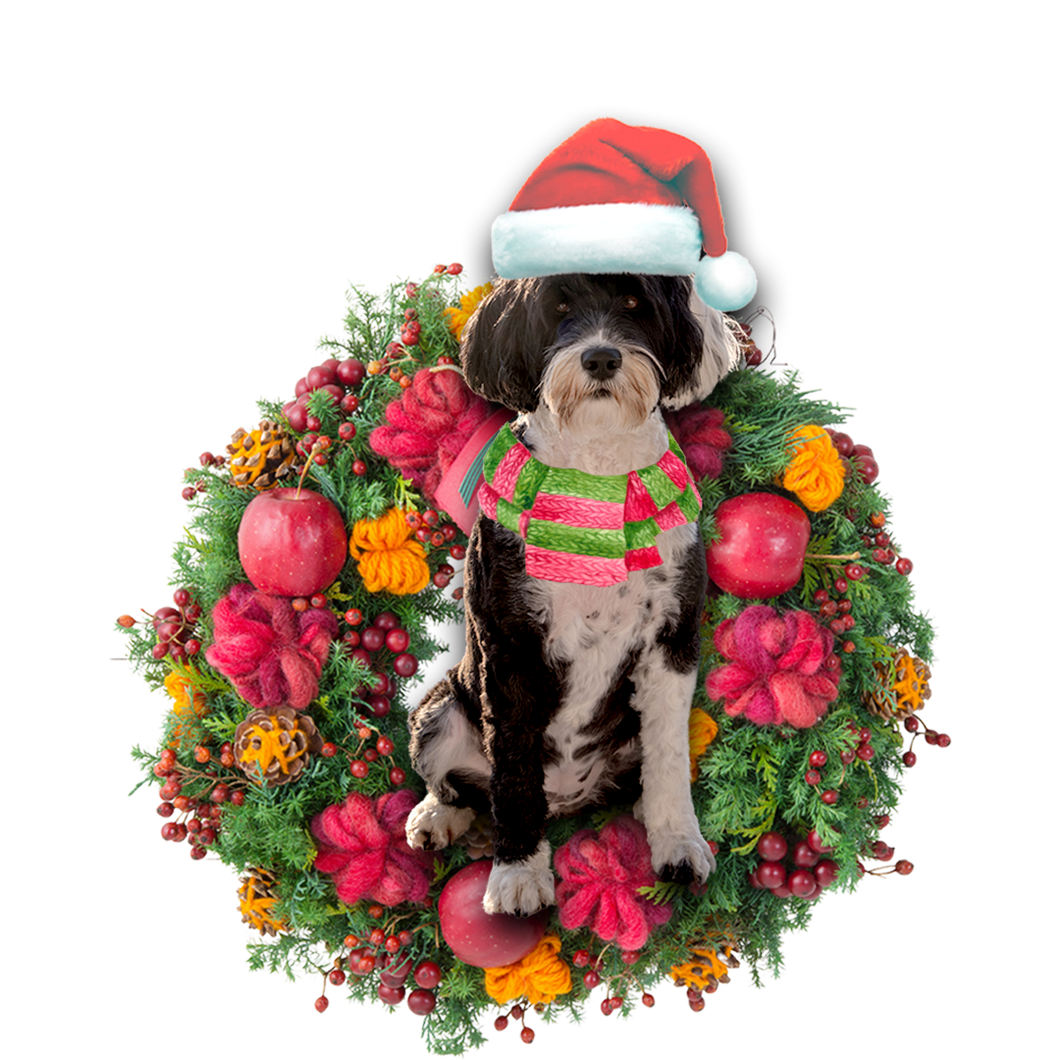 Godmerch- Ornament- Portuguese Water Dog Christmas Ornament, Happy Christmas Ornament, Car Ornament