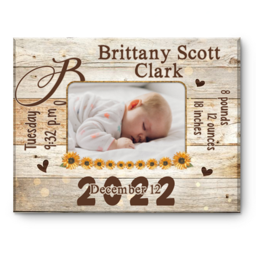 Personalized Baby Gift, Birth Announcement Canvas, Baby Birth Stats Wall Art, Baby Nursery Wall Art