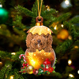 RED Labradoodle In Golden Egg Christmas Ornament