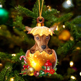 RED Miniature Pinscher In Golden Egg Christmas Ornament