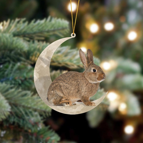 Rabbit Bunny Sits On The Moon Hanging Ornament, Animal Christmas Ornaments