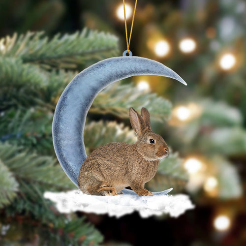 Godmerch- Ornament- Rabbit Bunny Sits On The Moon Hanging Ornament Dog Ornament, Car Ornament, Christmas Ornament
