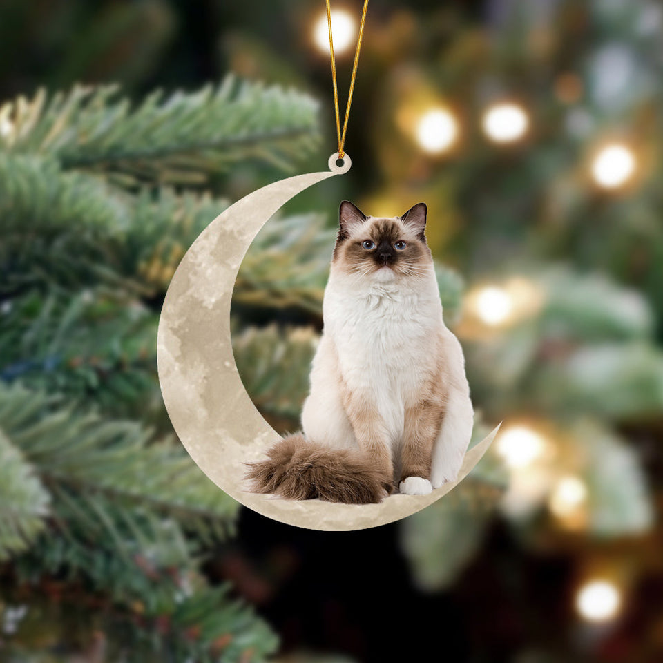 Ragdoll Cat Sits On The Moon Hanging Ornament Cat Christmas Acrylic Ornament