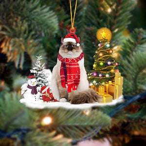 Godmerch- Ornament- Ragdoll Cat Christmas Ornament Dog Ornament, Car Ornament, Christmas Ornament