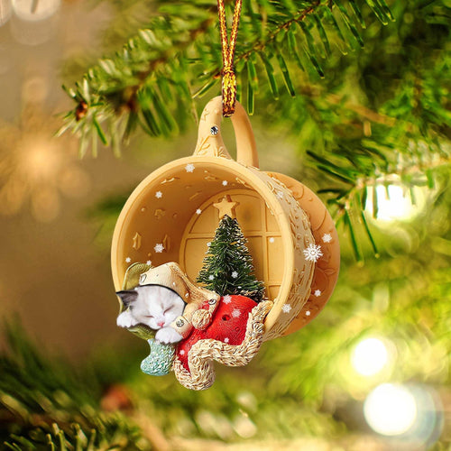 Ragdoll Sleeping in a tiny cup Christmas Holiday-Two Sided Ornament, Christmas Ornament, Car Ornament