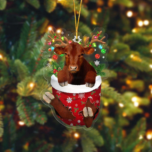 Red Angus In Pocket Acrylic Ornament, Farm Christmas Ornament