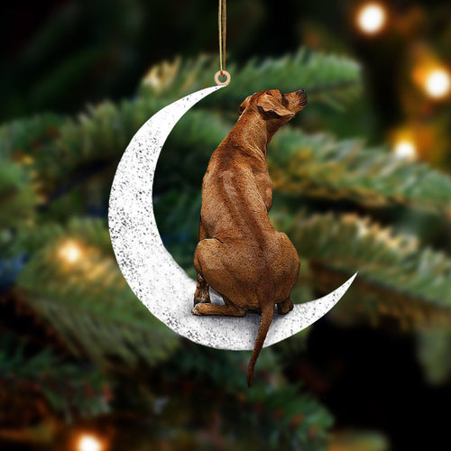 Rhodesian Ridgeback Sit On The Moon Two Sided Ornament Dog Hanging Christmas Ornament