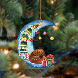 Rhodesian Ridgeback-Sleep On The Moon Christmas Two Sided Ornament, Christmas Ornament, Car Ornament