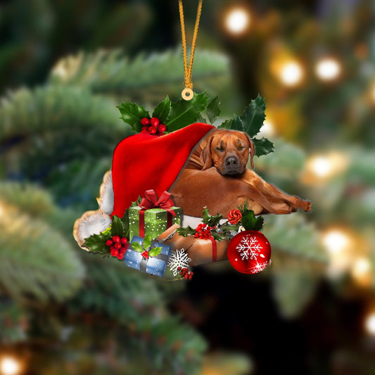 Rhodesian Ridgeback-Sleeping In Hat Two Sides Ornament Dog Sleeping Ornament