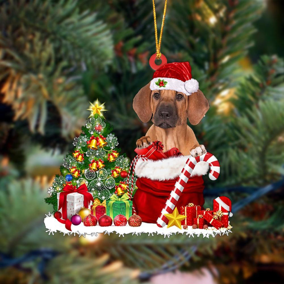 Godmerch- Rhodesian Ridgeback Gift Bag Merry Christmas Ornament Dog Ornament, Car Ornament, Christmas Ornament