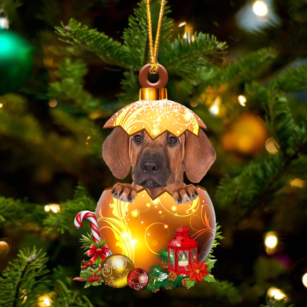 Rhodesian Ridgeback In Golden Egg Christmas Ornament