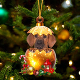 Rhodesian Ridgeback In Golden Egg Christmas Ornament
