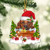 Rhodesian Ridgeback In The Chimney Hanging Ornament Dog Christmas Ornament