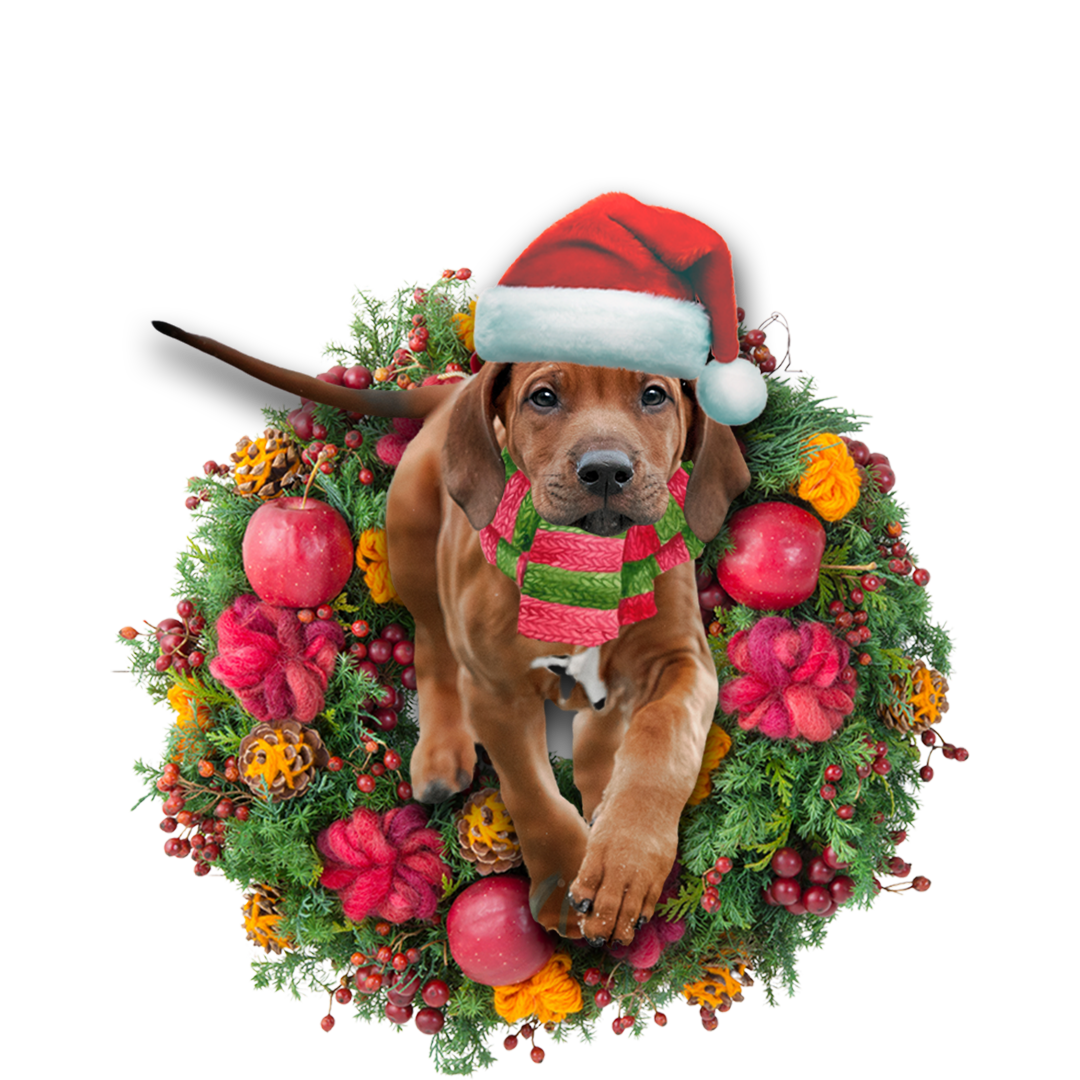 Godmerch- Ornament- Rhodesian Ridgeback Christmas Ornament, Happy Christmas Ornament, Car Ornament