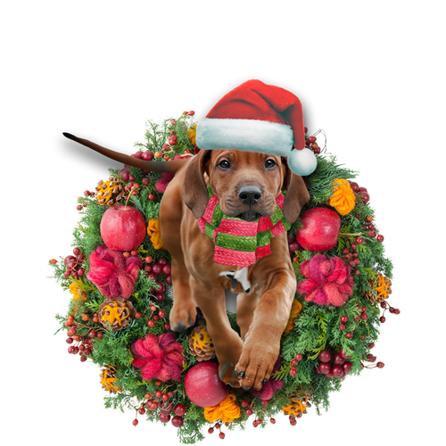 Godmerch- Ornament- Rhodesian Ridgeback Christmas Ornament, Happy Christmas Ornament, Car Ornament