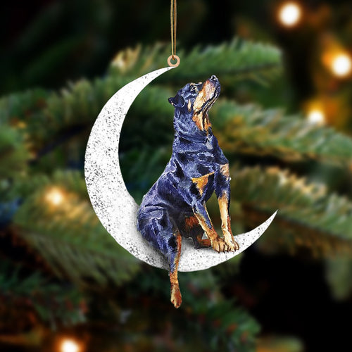 Rottweiler Sit On The Moon Two Sided Ornament Dog Hanging Christmas Ornament