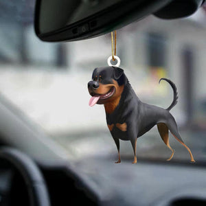 Rottweiler-Look At Me-Two Sided Ornament
