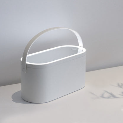 Portable Makeup Storage with Makeup Mirror | Travel Makeup Organizer with LED Mirror | Makeup Case Gifts for Her and Mother's Day