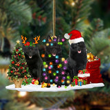 Godmerch- Ornament- Schipperke-Christmas Dog Friends Hanging Ornament, Happy Christmas Ornament, Car Ornament