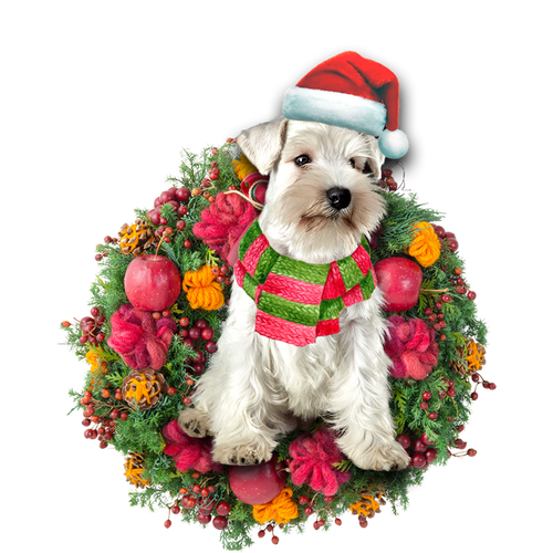 Godmerch- Ornament- Schnauzer Christmas Ornament, Happy Christmas Ornament, Car Ornament