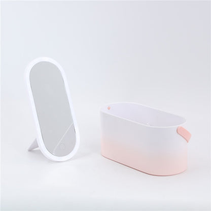 Portable Makeup Storage with Makeup Mirror | Travel Makeup Organizer with LED Mirror | Makeup Case Gifts for Her and Mother's Day