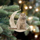 Selkirk Rex Cat Sits On The Moon Hanging Ornament Cat Christmas Acrylic Ornament Cat Lover Gift