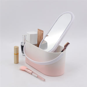 Portable Makeup Storage with Makeup Mirror | Travel Makeup Organizer with LED Mirror | Makeup Case Gifts for Her and Mother's Day