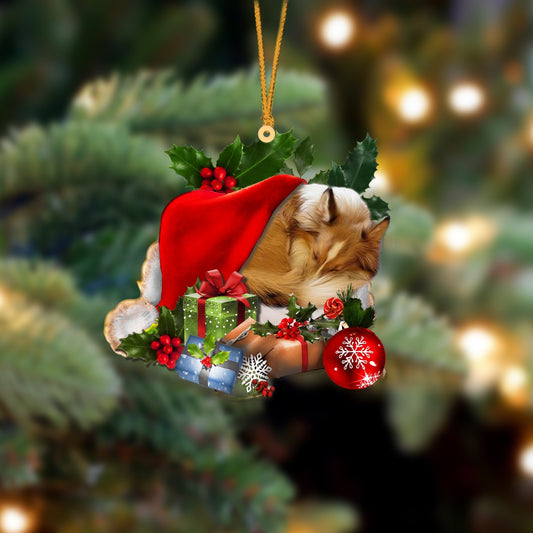 Sheltie-Sleeping In Hat Two Sides Ornament Dog Sleeping Ornament