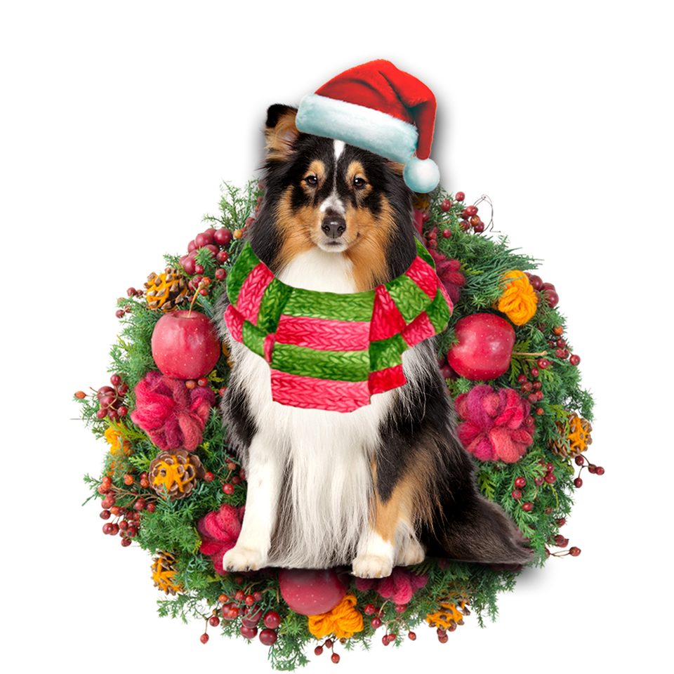 Godmerch- Ornament- Shetland Sheepdog Christmas Ornament, Happy Christmas Ornament, Car Ornament