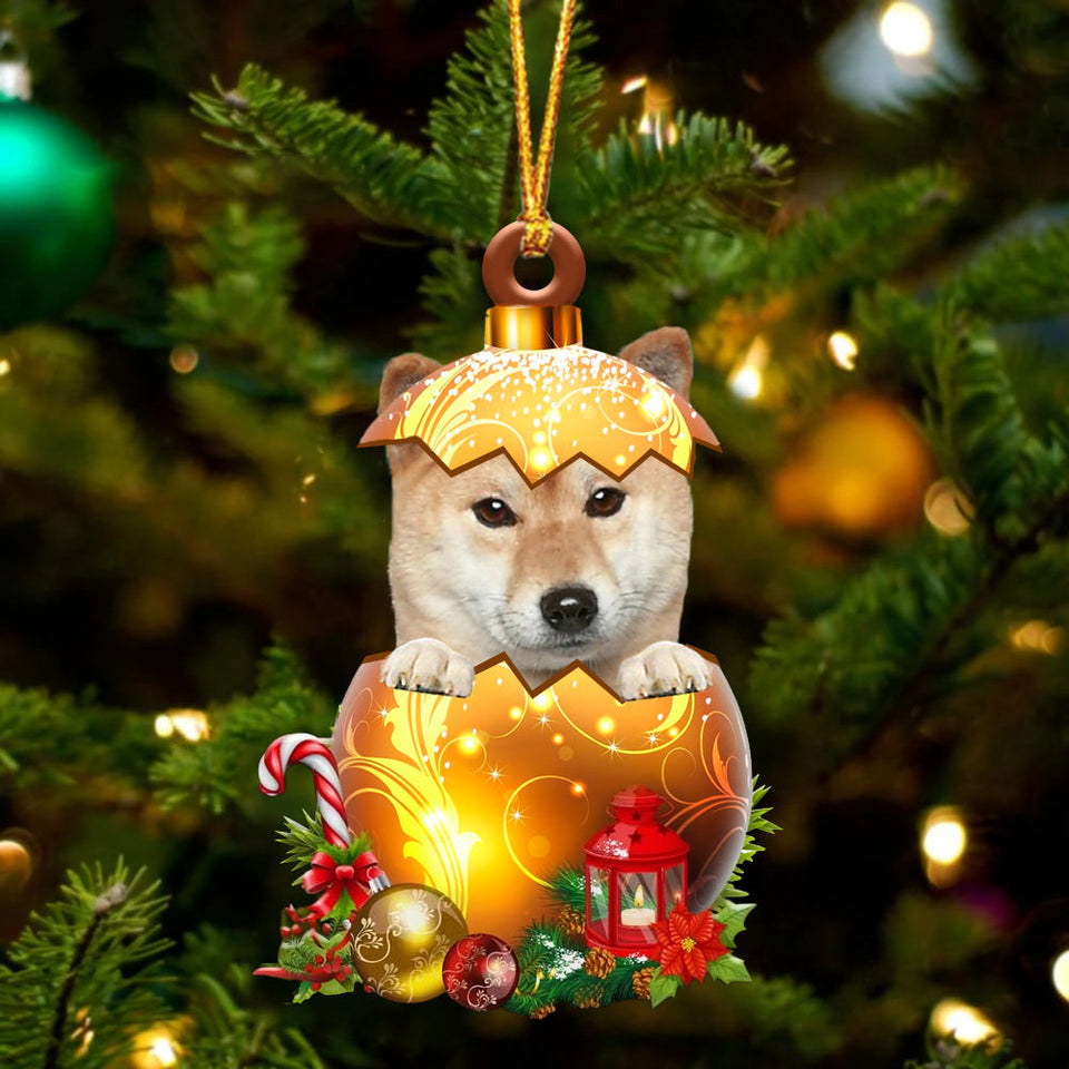 Shiba Inu2 In Golden Egg Christmas Ornament
