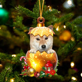 Shiba Inu2 In Golden Egg Christmas Ornament