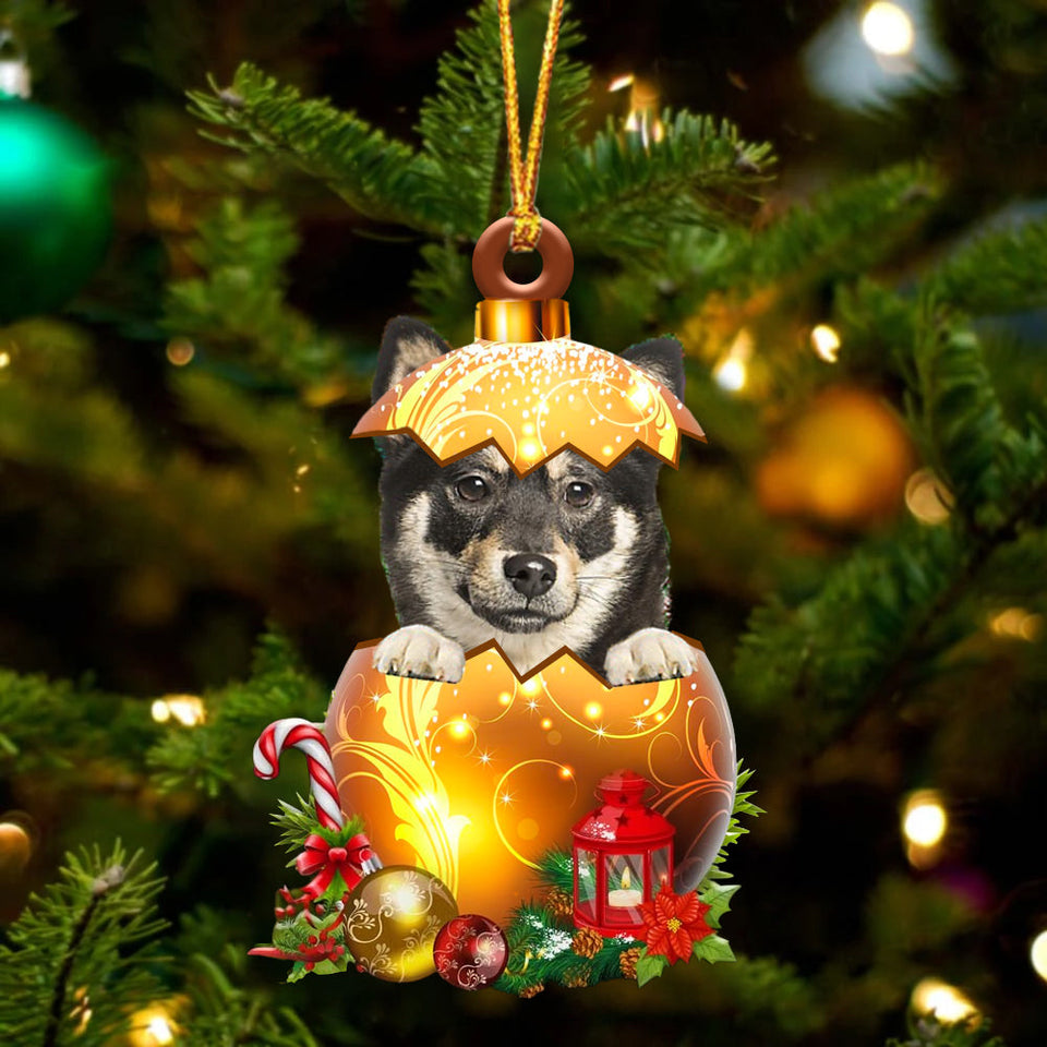 Shiba Inu In Golden Egg Christmas Ornament