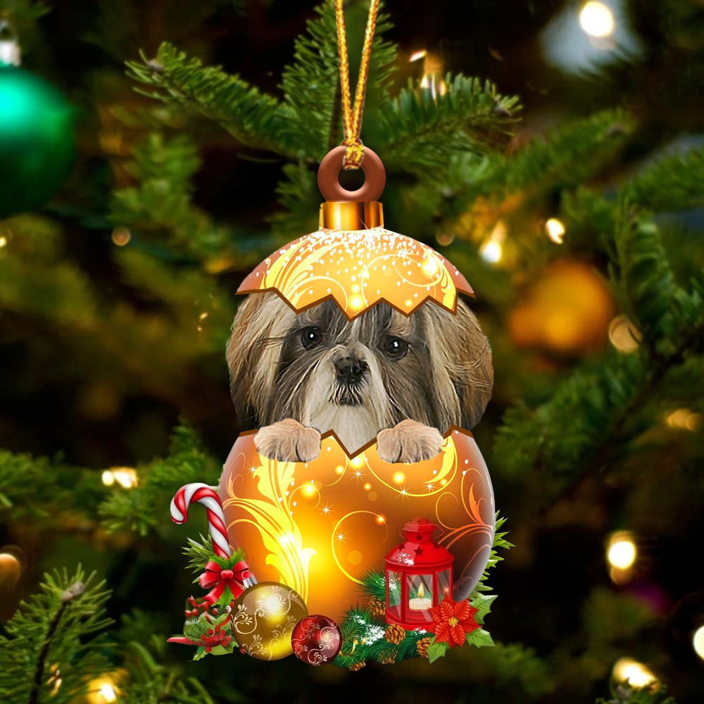 Shih Tzu. In Golden Egg Christmas Ornament