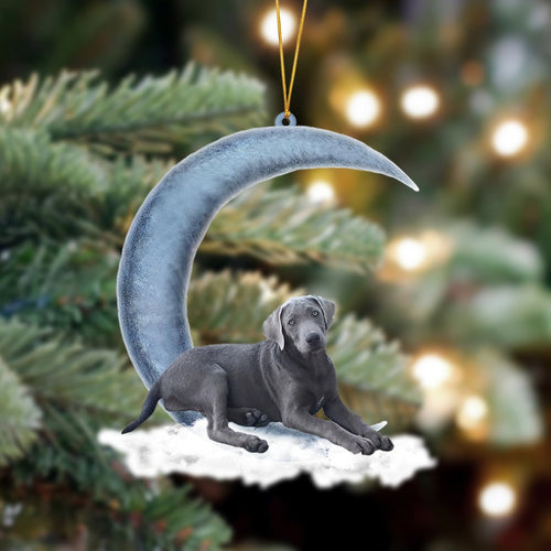 Godmerch- Silver Labrador Retriever Sits On The Moon Hanging Ornament Dog Ornament, Car Ornament, Christmas Ornament