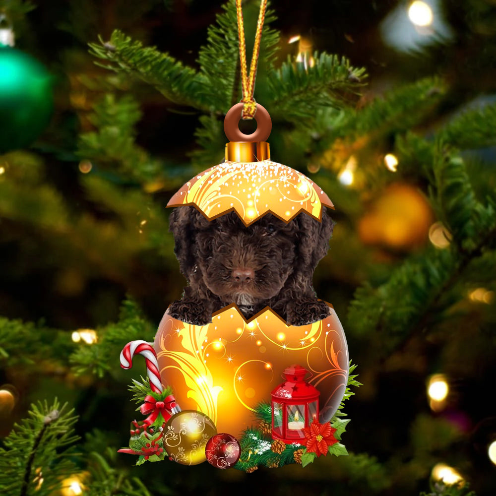 Spanish Water Dog In Golden Egg Christmas Ornament