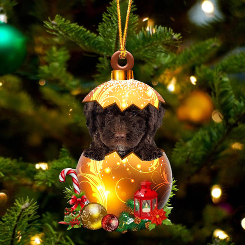 Spanish Water Dog In Golden Egg Christmas Ornament
