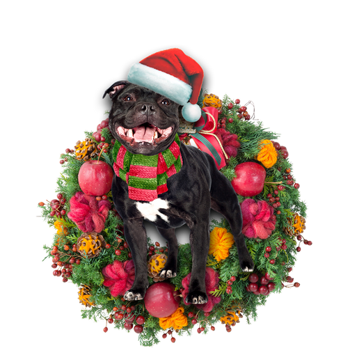 Godmerch- Ornament- Staffordshire Bull Terrier Christmas Ornament, Happy Christmas Ornament, Car Ornament