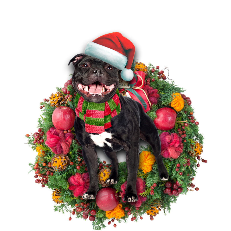 Godmerch- Ornament- Staffordshire Bull Terrier Christmas Ornament, Happy Christmas Ornament, Car Ornament